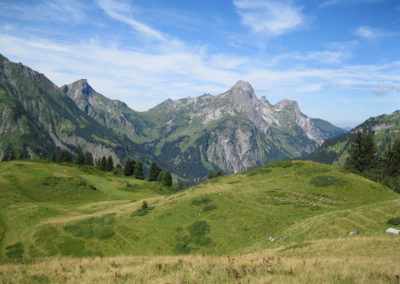 Sommerurlaub auf der Alm